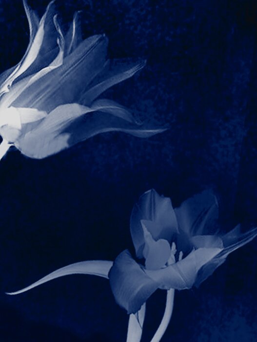 ogni donna è unica come un fiore
